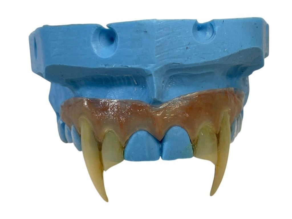 Dark Shadows (2012) - Barnabas Collins (Johnny Depp) Fangs Appliance: Dark Shadows (2012) - Barnabas Collins (Johnny Depp) Fangs Appliance.Original top teeth fangs appliance for Johnny Depp's character as Barnabas Collins, used in the production of the Tim Burton direct