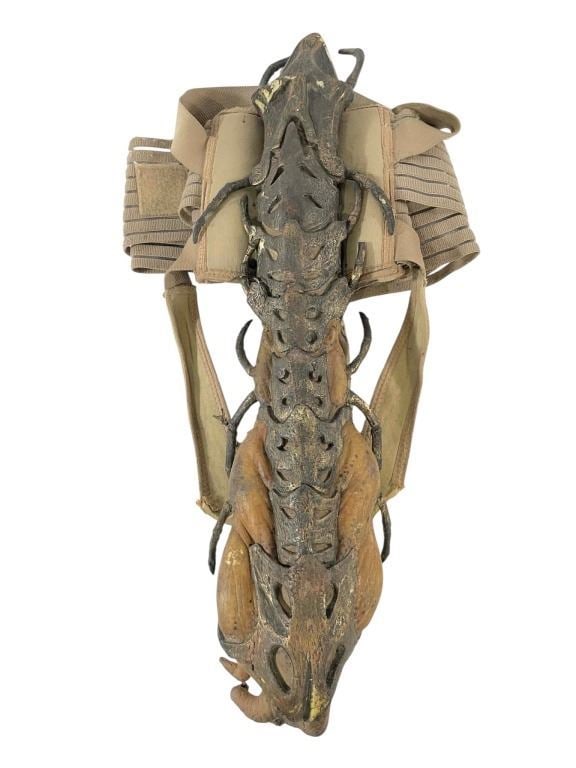 Falling Skies (2011-2015) - Alien Biomechanical Mind Control Harness: Falling Skies (2011-2015) - Alien Biomechanical Mind Control Harness.Measuring 5" x 17" x 26".Made of foam latex with built in girdle.Original biomechanical mind control harness used in the post-apoca