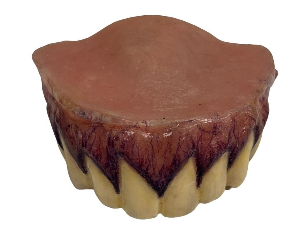 Green Lantern (2011) - Abin Sur (Temuera Morrison) Dead Alien Teeth (1 of 6)