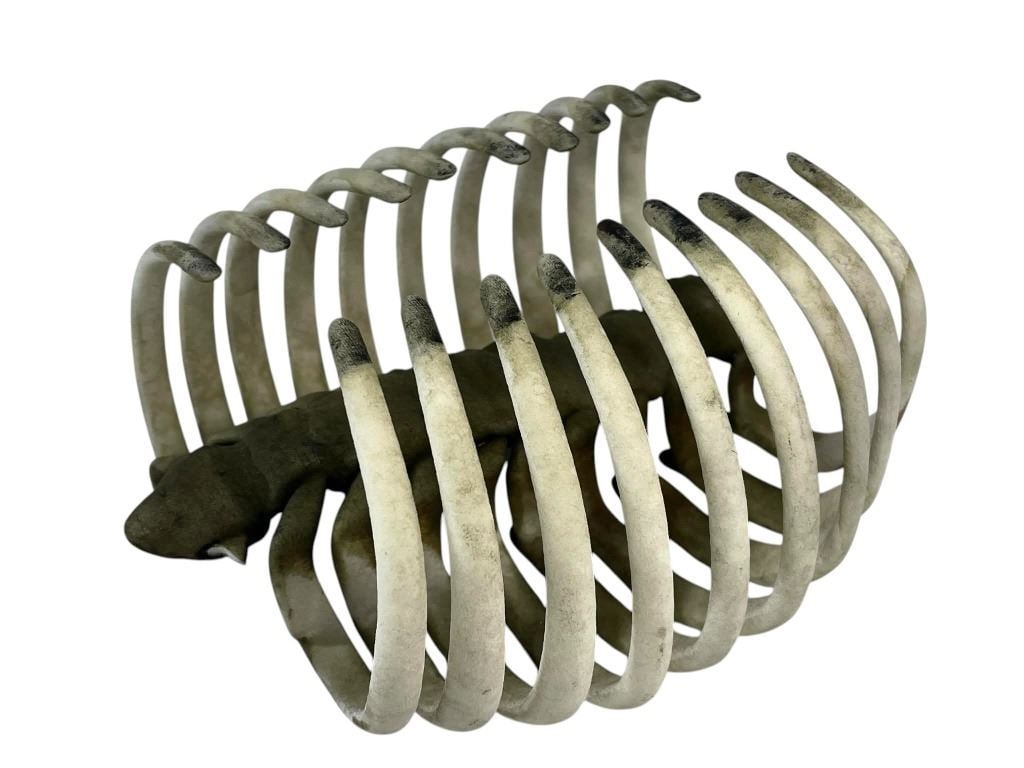 Ant-Man and the Wasp: Quantumania (2023) - Bill Murray Table Decoration Rib Cage: Ant-Man and the Wasp: Quantumania (2023) - Bill Murray Table Decoration Rib Cage.Made of painted resin. One rib bone broken off.Original rib cage table set decoration used in the Bill Murray