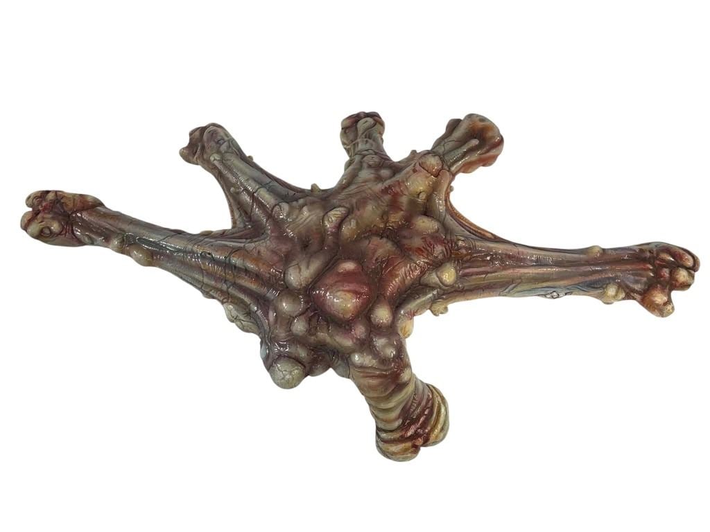 Evolution (2001) (Phil Tippett Collection) - Amoeba Monster Painted Maquette + Concept Art - Lot B: Evolution (2001) (Phil Tippett Collection) - Amoeba Monster Painted Maquette + Concept Art.Measuring 6" x 12".Made of resin.Artwok measuring 5" x 7" for glossy photos and 8 1/2" x 11" for photo