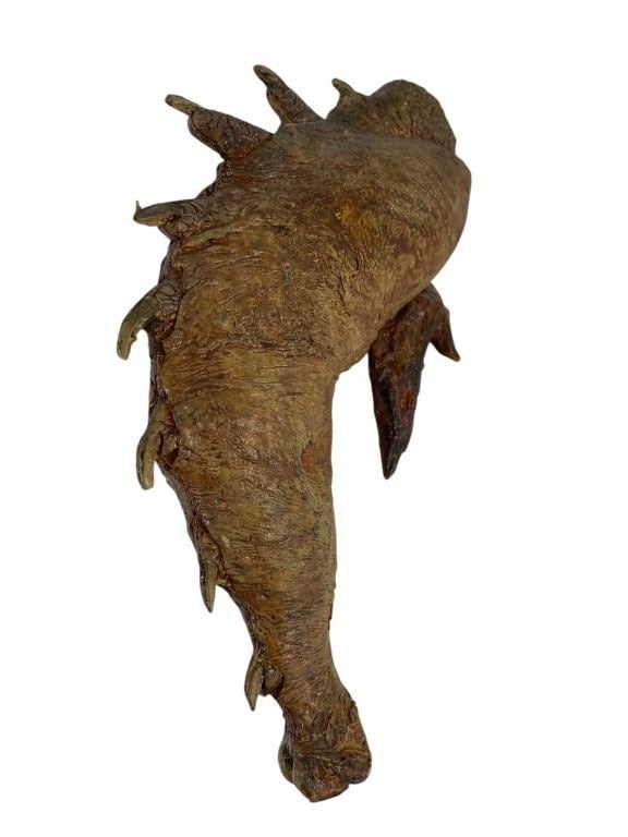 Guardians of the Galaxy (2014) - The Kyln Prison 42 Prison Food: Guardians of the Galaxy (2014) - The Kyln Prison 42 Prison Food.Made of foam.Measuring 9" long.Original prison food (Alien Chicken Wing) used in the production of the superhero film 'Guardians of the