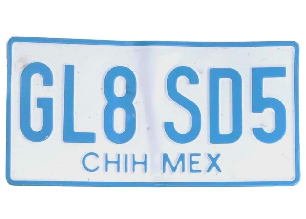 Terminator: Dark Fate (2019) - Sarah Connor (Linda Hamilton) Land Cruiser Hero License Plate (1 of 3)