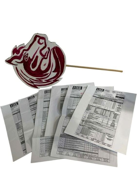 The Miracle Season (Erin Moriarty 2018) - Call Sheet And School Mascot Collection (1 of 3)
