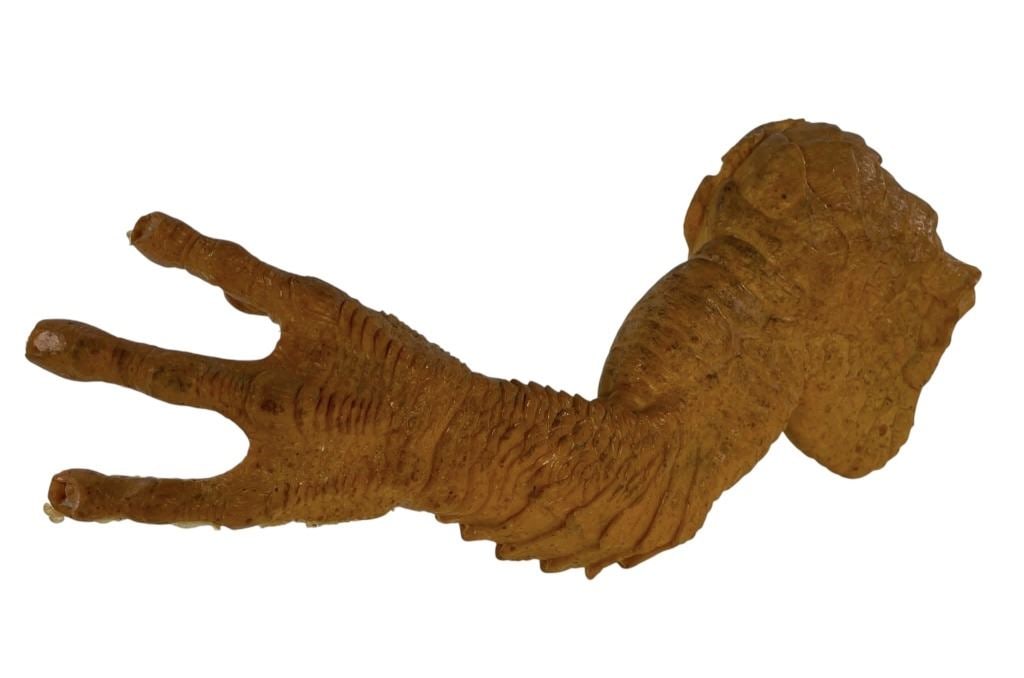 DragonHeart (Phil Tippett Collection1996) - Pre-Production CGI Reference Dragon Arm - Signed: DragonHeart (1996) - Pre-Production CGI Reference Dragon Arm.Original pre-production CGI reference arm used in the Rob Cohen directed fantasy adventure movie 'DragonHeart' (1996), where the last drago