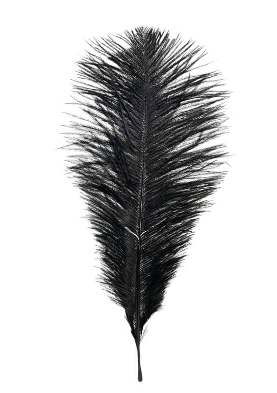 Harry Potter and the Sorcerer's Stone (2001) - Production Used Feather (1 of 2)