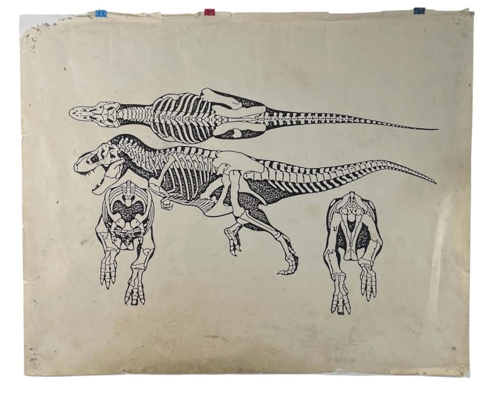 Jurassic Park (1993) - Tippett Studio T-Rex Stop Motion Input Device Exact Scale Diagram (1 of 3)
