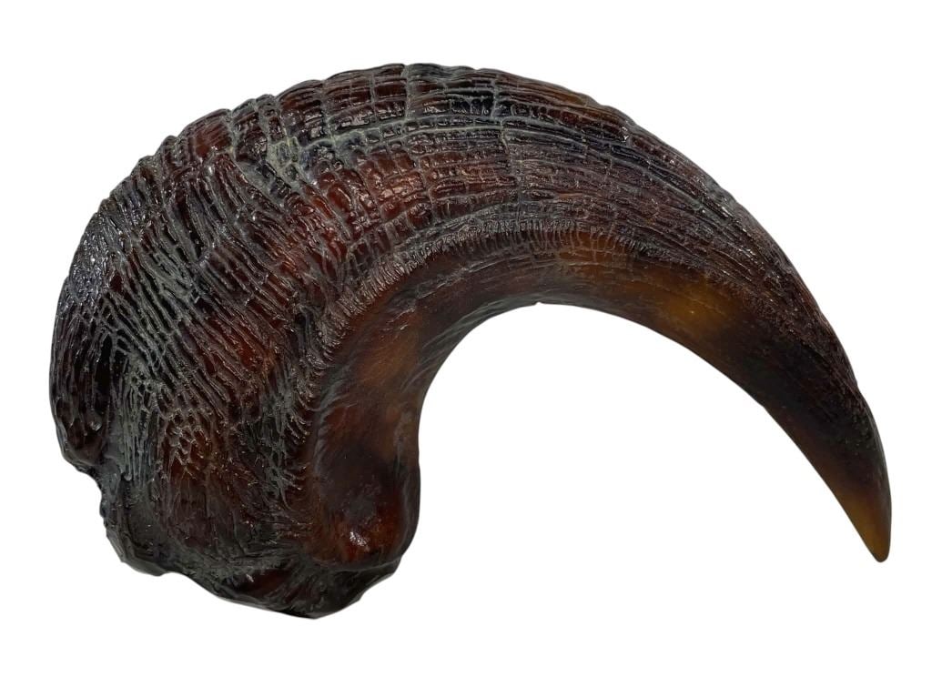 Jurassic Park (1993) - Velociraptor Claw (1 of 6)