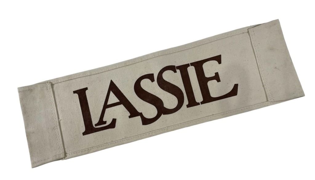 Lassie (1994) - Chairback: Lassie (1994) - Chairback.Original chairback used on the production of the Daniel Petrie directed adventure family film 'Lassie' (1994), when a family of 4 moves from Baltimore to a farm in rural Virg