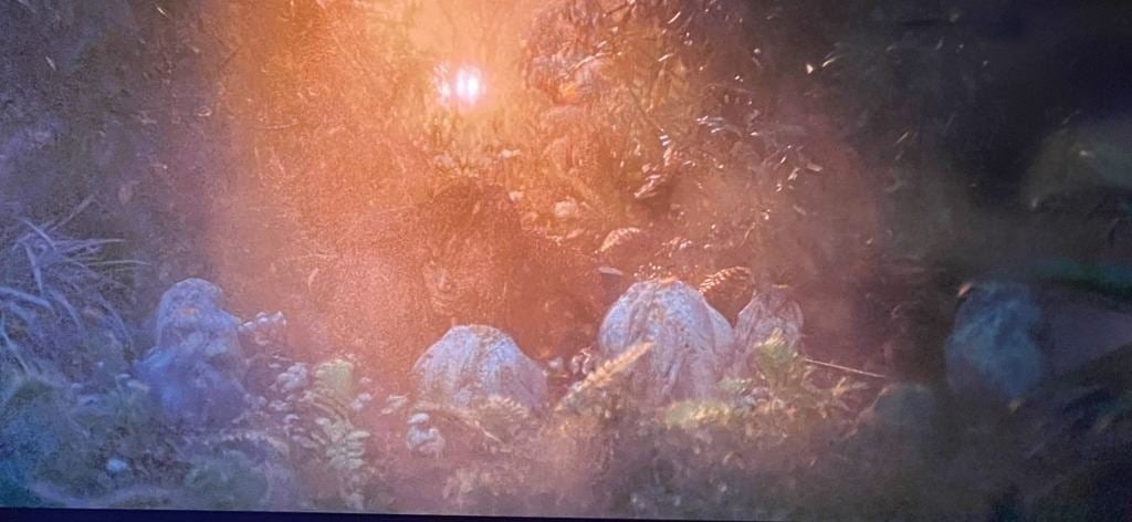 Star Wars - The Acolyte (2024) - Exploding Seed Pods - 2