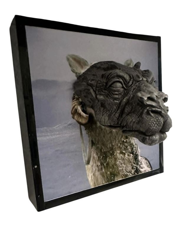 Star Wars - The Empire Strikes Back (1980) - Miniature Tauntaun Casting: Star Wars - The Empire Strikes Back (1980) - Miniature Tauntaun Casting.Display measuring 8" x 10" Comes on a custom framed hanging display.Made of resin.Tauntaun 90's head casting from an original mo