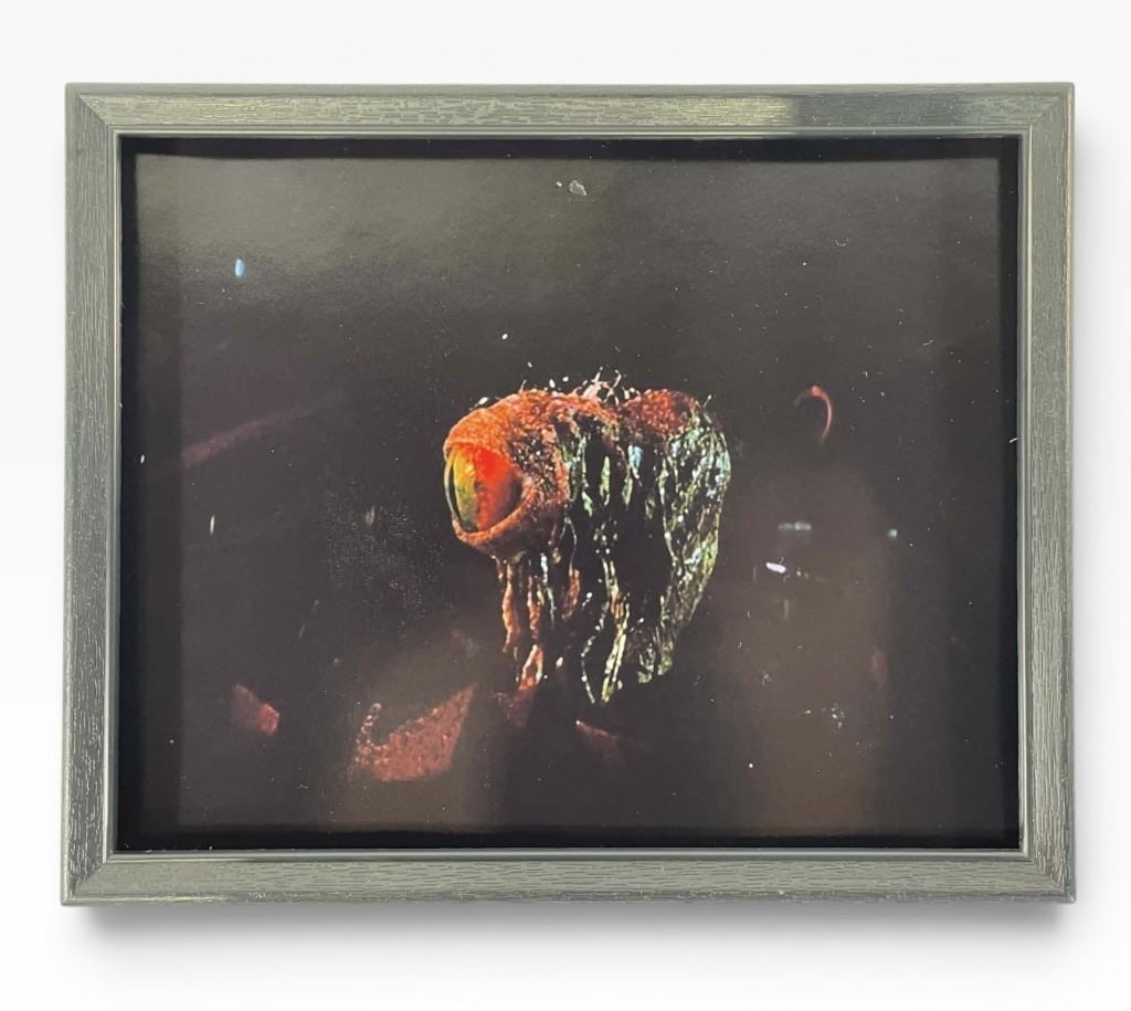 Star Wars: Episode IV - A New Hope (1977) - Phil Tippett Signed Still - Dianoga Monster - Lot A: Star Wars: Episode IV - A New Hope (1977) - Phil Tippett Signed Production Still.Measuring 8 1/2" x 10".Photo is framed and Phil Tippett has signed the outside of the glass.Original photo that hung in