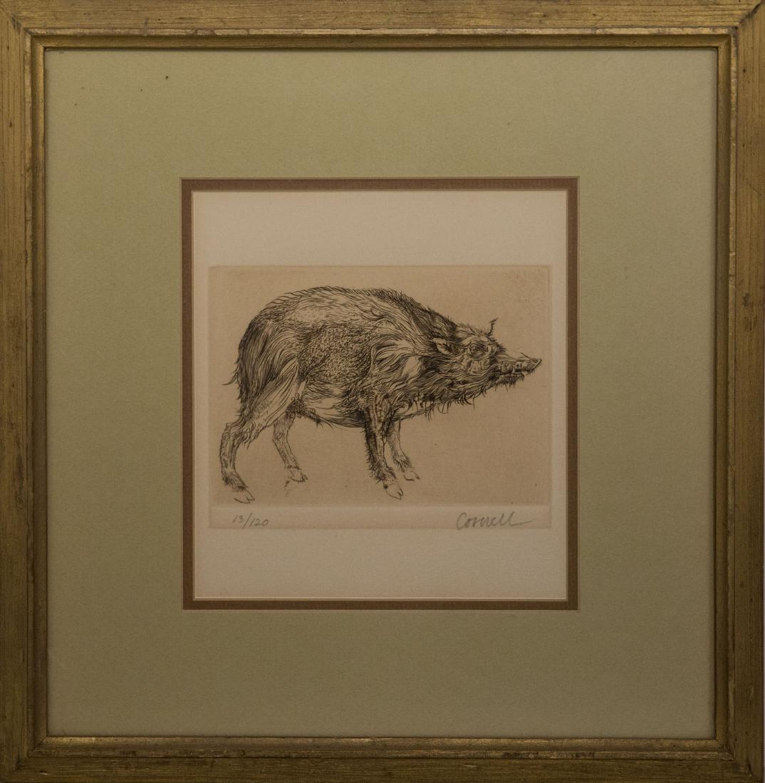 Thomas Cornell Limited Edition Etching: Thomas Cornell pencil Signed Limited Edition etching of boar Approx 16" x 16"