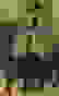 item-85399246=2