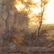 Early 19th Century Italian landscape Oil on Canvas - 2