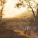 Early 19th Century Italian landscape Oil on Canvas - 3