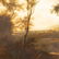 Early 19th Century Italian landscape Oil on Canvas - 4