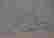 item-52104972=3