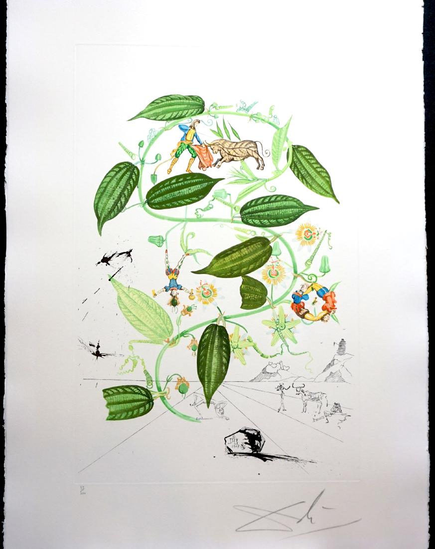 Dali Flora Dalinae Passionflower Hand Signed Etching (1 of 3)