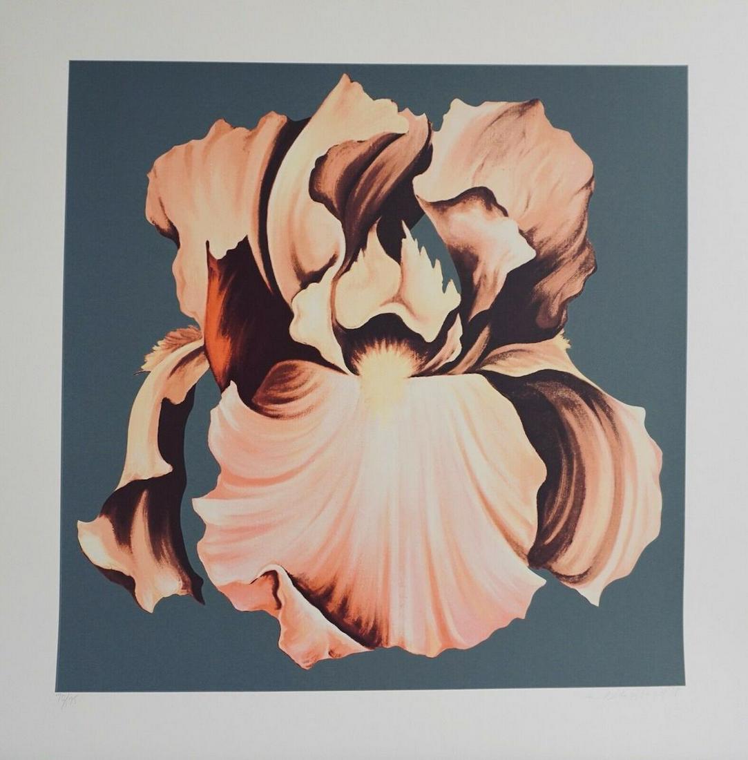 Lowell Nesbitt Iris (1 of 2)