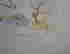 item-131439498=2