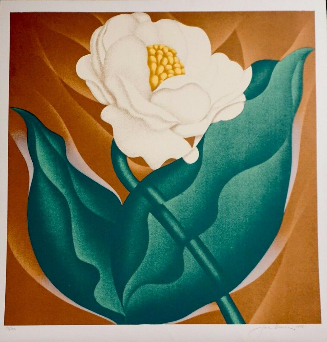 Jack Brusca Globe Flower: Artist: Jack Brusca Title: Globe Flower Year: 1978 Dimensions: 26.5 in. by 25.5 in. Edition: From the limited edition of 200 Medium: Silkscreen Condi