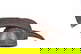 item-208395142=12