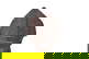 item-208395149=15