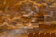 item-210847445=3