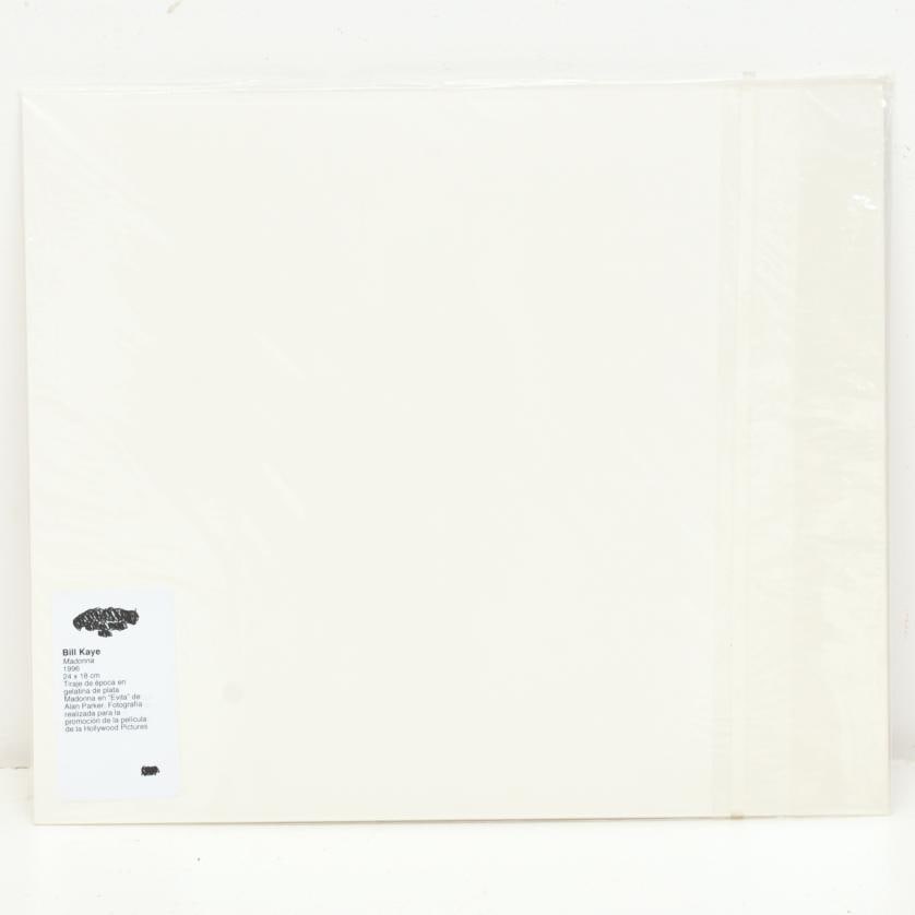 Bill Kaye. Madonna. 1996. (1 of 1)