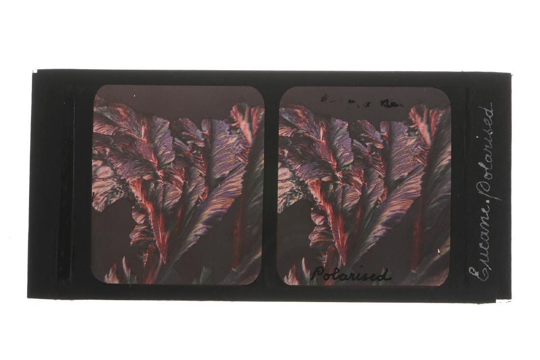 A Rare Autochrome Photomicrograph Glass Stereoview,: c.1925, eucane crystals (a derivative of cocaine), taken through a polarising microscope, labelled 'eucane polarised'