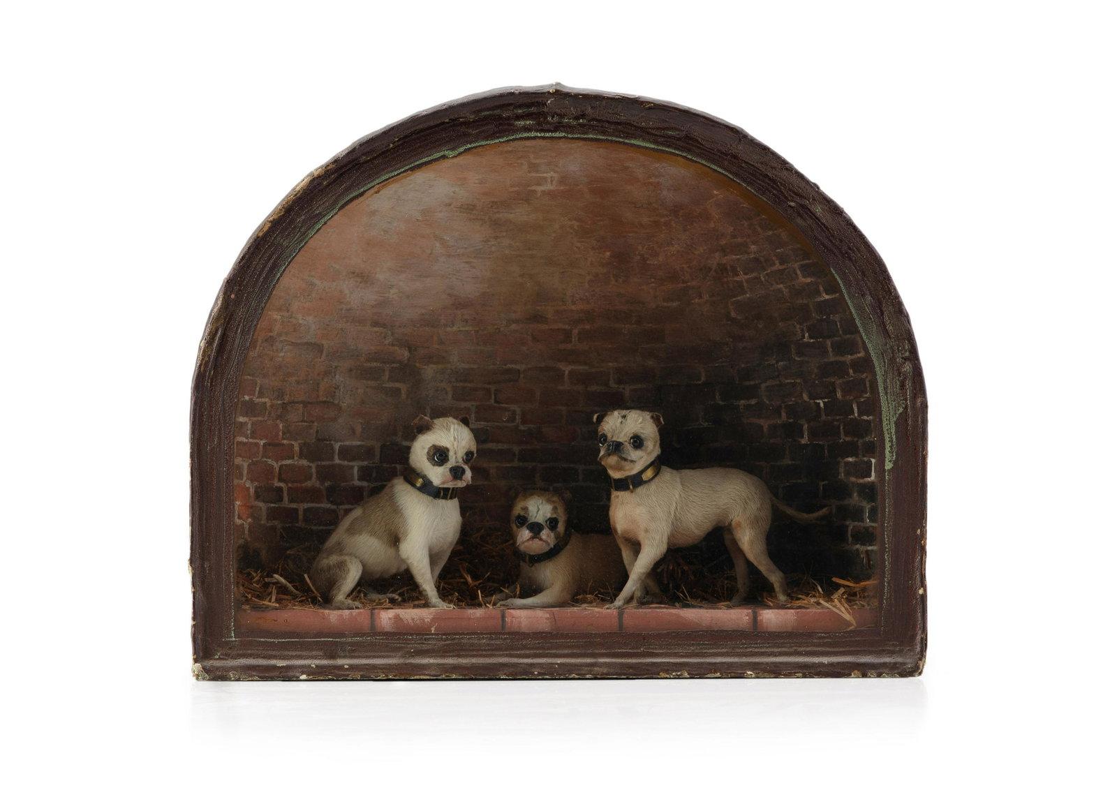 Taxidermy - A Victorian 'Chinese Muff Dog' Diorama, (1 of 4)