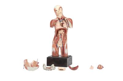 MAISON AUZOUX, An Anatomical Model of the Human Torso, (1 of 1)