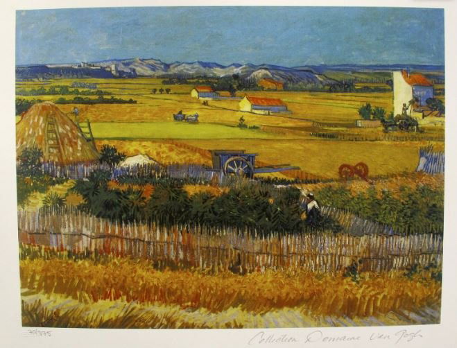 Vincent Van Gogh - Harvest Lanscapes In Arles (1 of 1)