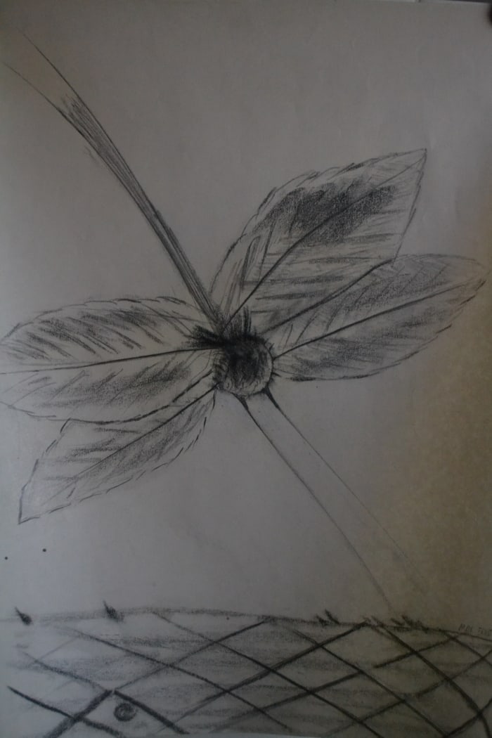 Max Ernst - AirPLane: Artist: Max ErnstTitle: AirPlaneDimensions: 17.5X13.5 InchesMedium: Pencil On PaperCondition: Excellent?In the style of?"In the style of" works are works by an unknown creator whose style is strongly