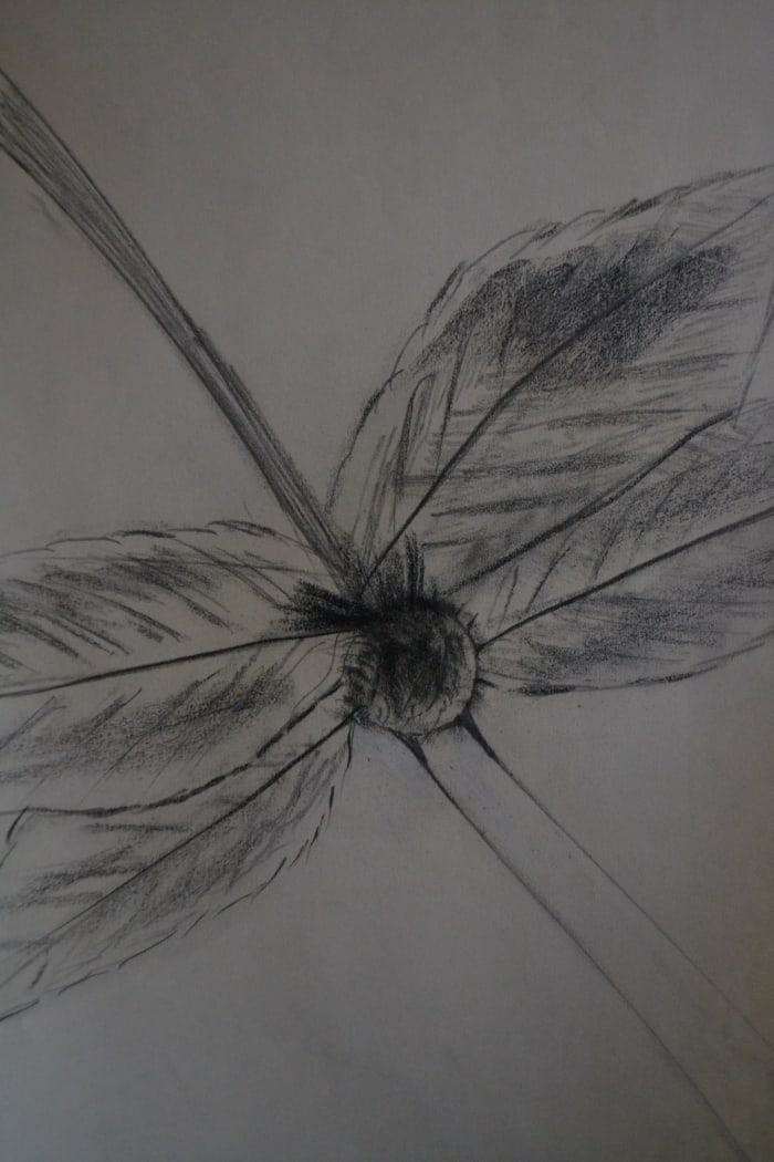 Max Ernst - AirPLane - 2