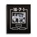New York Yankee Legends Framed Signed GFA