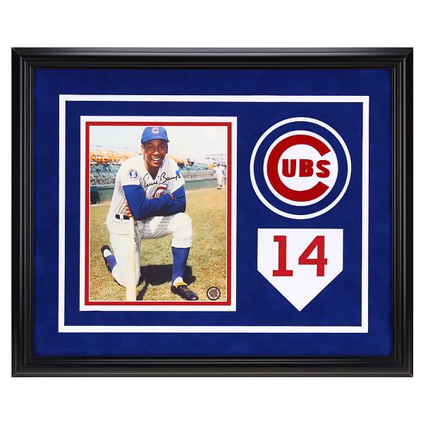 Ernie Banks Chicago Cubs 20x16 autograph 8x10v GFA (1 of 1)