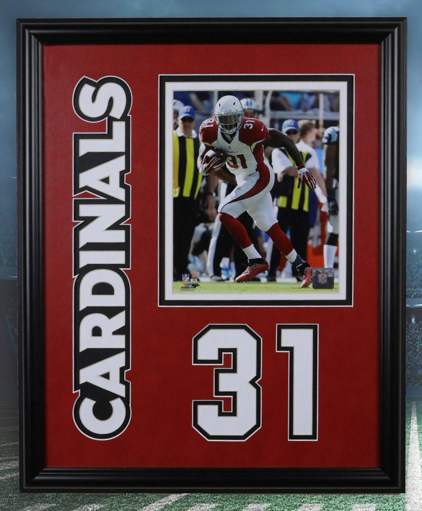 David Johnson Arizona Cardinals 20x16 photofile: David Johnson Arizona Cardinals Custom Framed 20x16 Photofile Matted 8x10