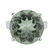 Silver 11.70ct Green Amethyst Solitaire Ring-SZ 5 - 2