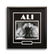 Muhammad Ali Heavyweight Champion Signed GFA