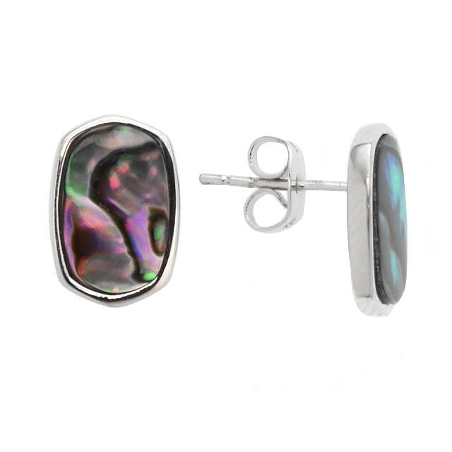 Silver Tone Abalone Stud Earrings (1 of 1)