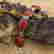 item-121694313=3