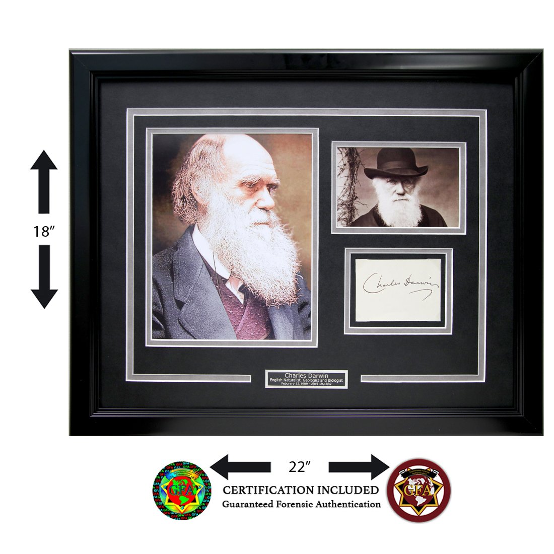 Charles Darwin Signed Cut: Charles Darwin (February 12, 1809 â€“ April 19, 1882) 4.25 x 3 cut paper signed in Black Iron based Ink. The paper has toned over time and the ink shows signs of oxidization over time. Charles Da