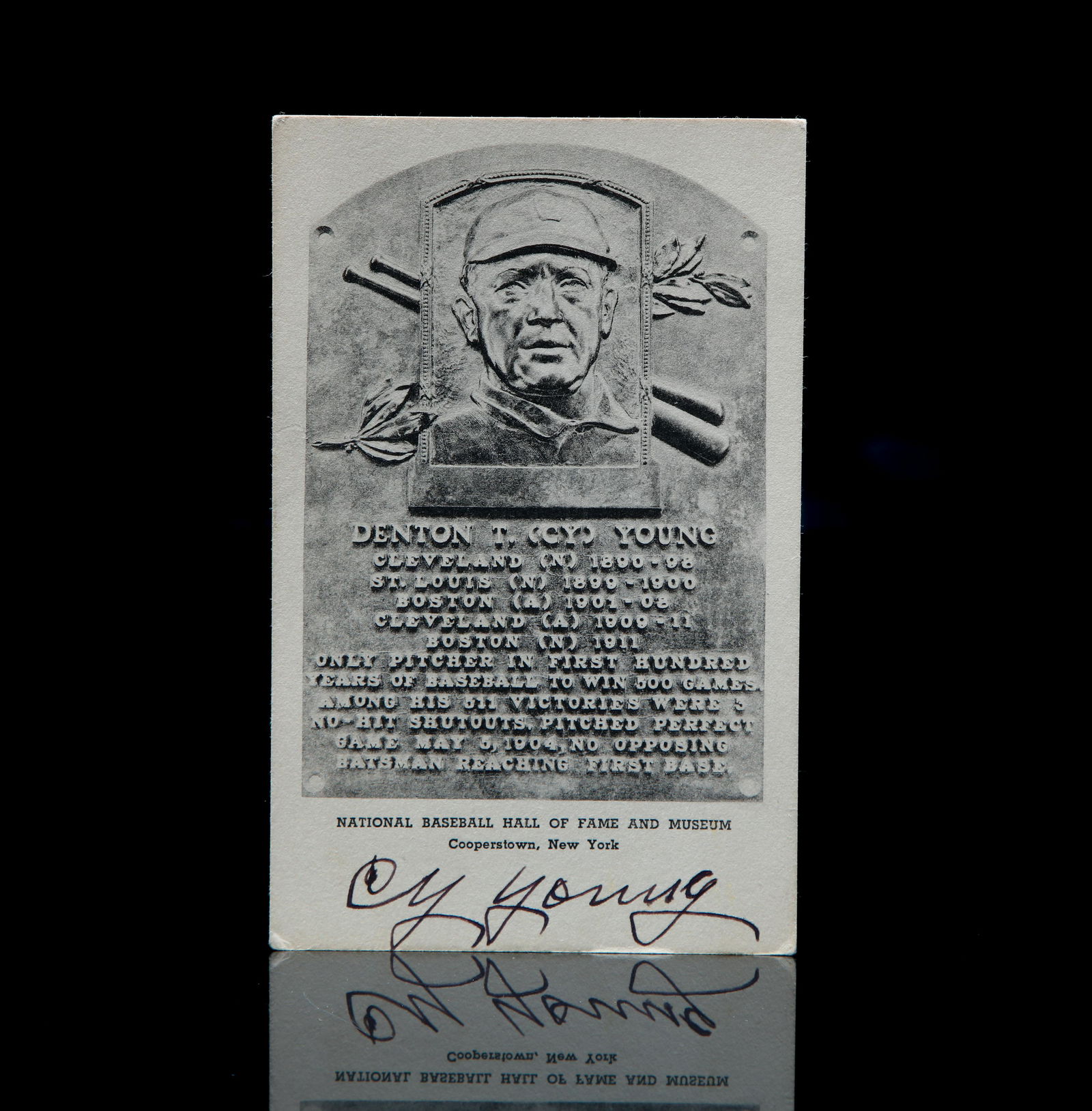 CY YOUNG SIGNED ALBERTYPE HOF SEPIA POSTCARD (1 of 6)