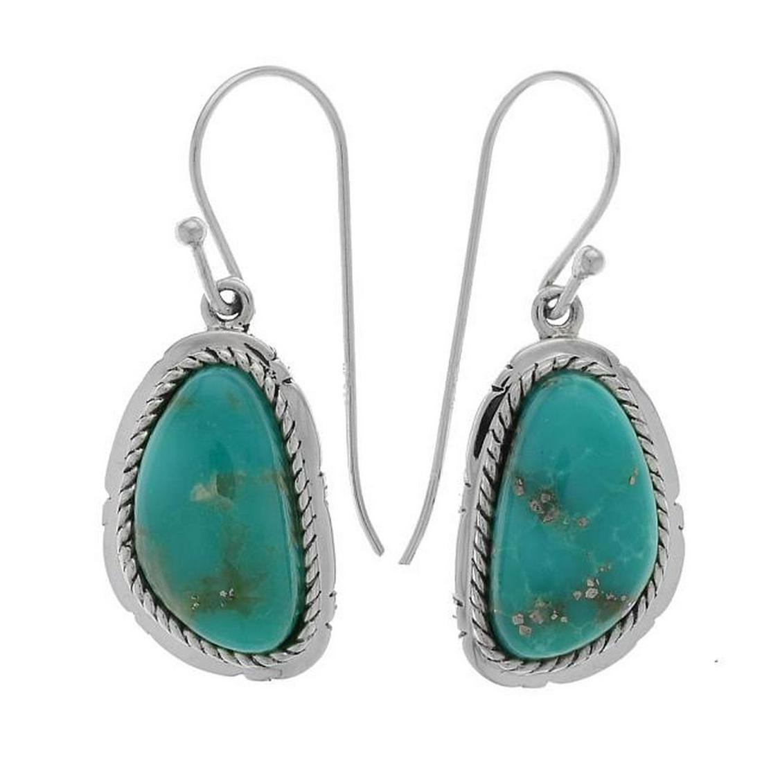 Silver Campo Frio Turquoise Dangle Earring (1 of 1)