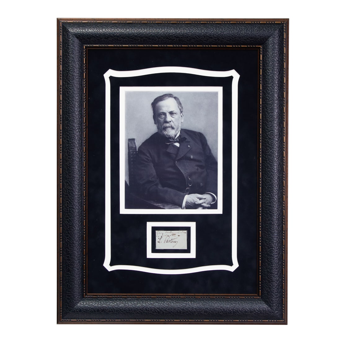 Louis Pasteur Signed Document Page Cut (1 of 4)