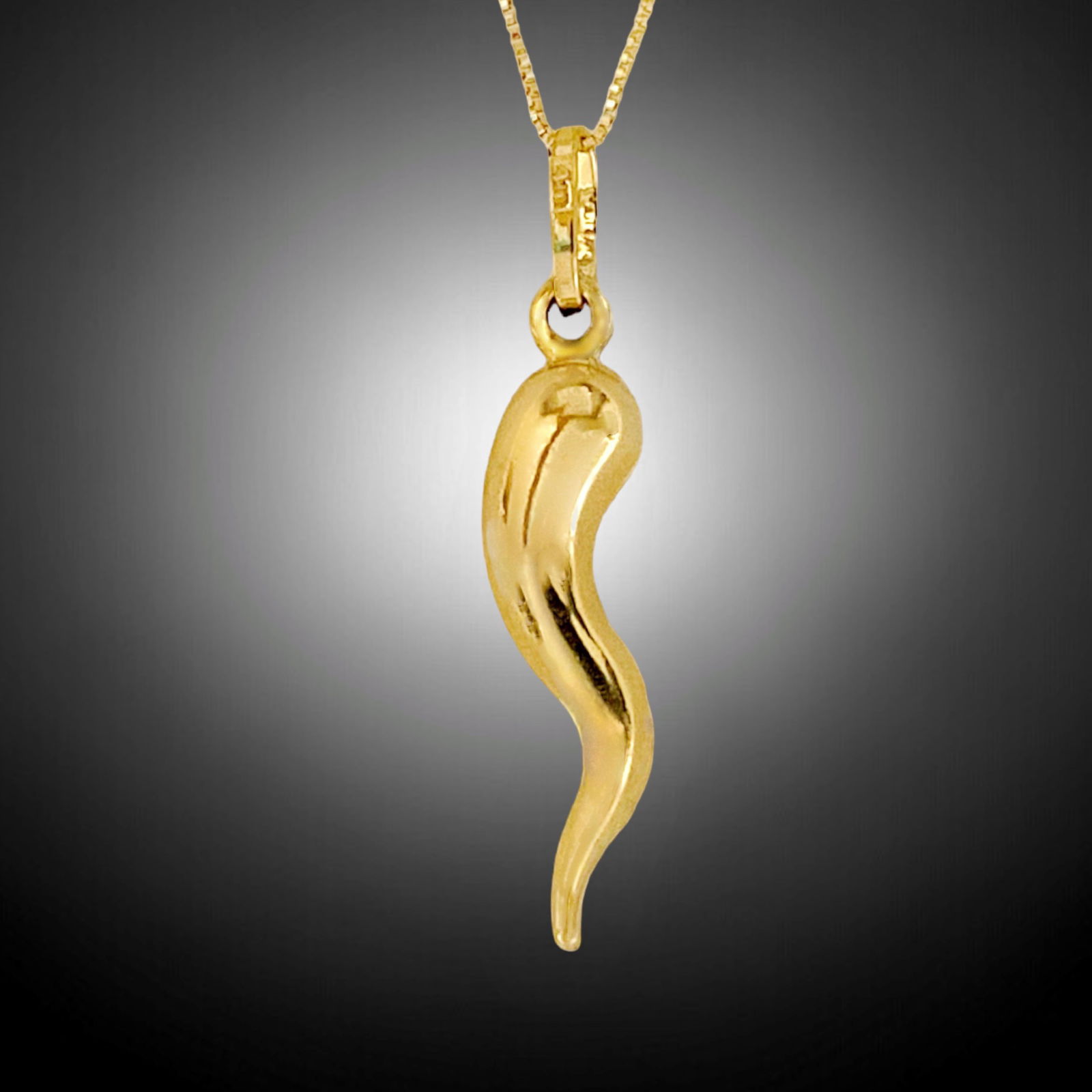 10K Italian Horn with Chain (1 of 1)