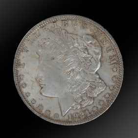 1921 Morgan Dollar