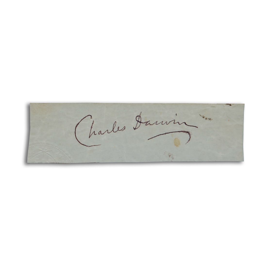 Charles Darwin Signed Cut (1 of 4)